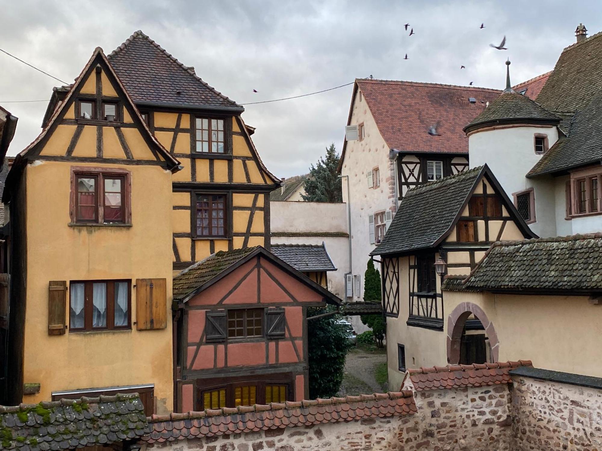 Laterale Residences Riquewihr Exteriér fotografie